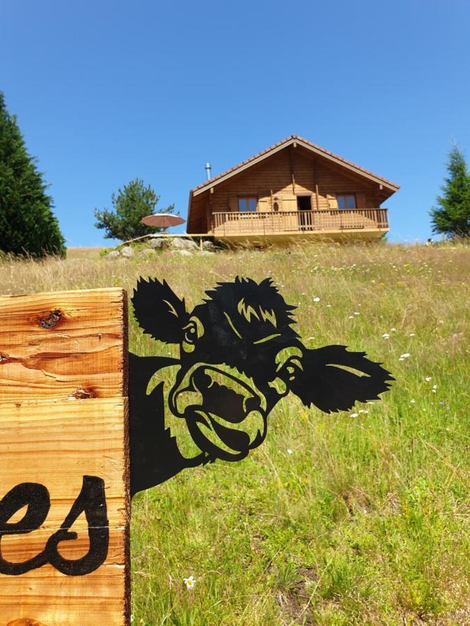 Chalet Les Vosgiennes Le Valtin Exteriér fotografie